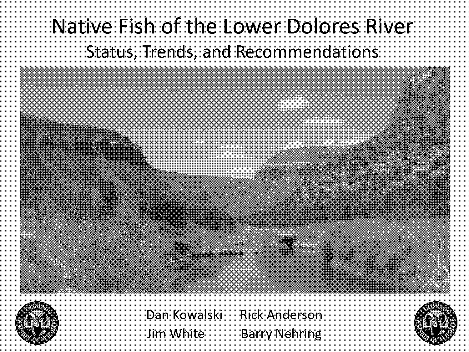 dolores river fishing report