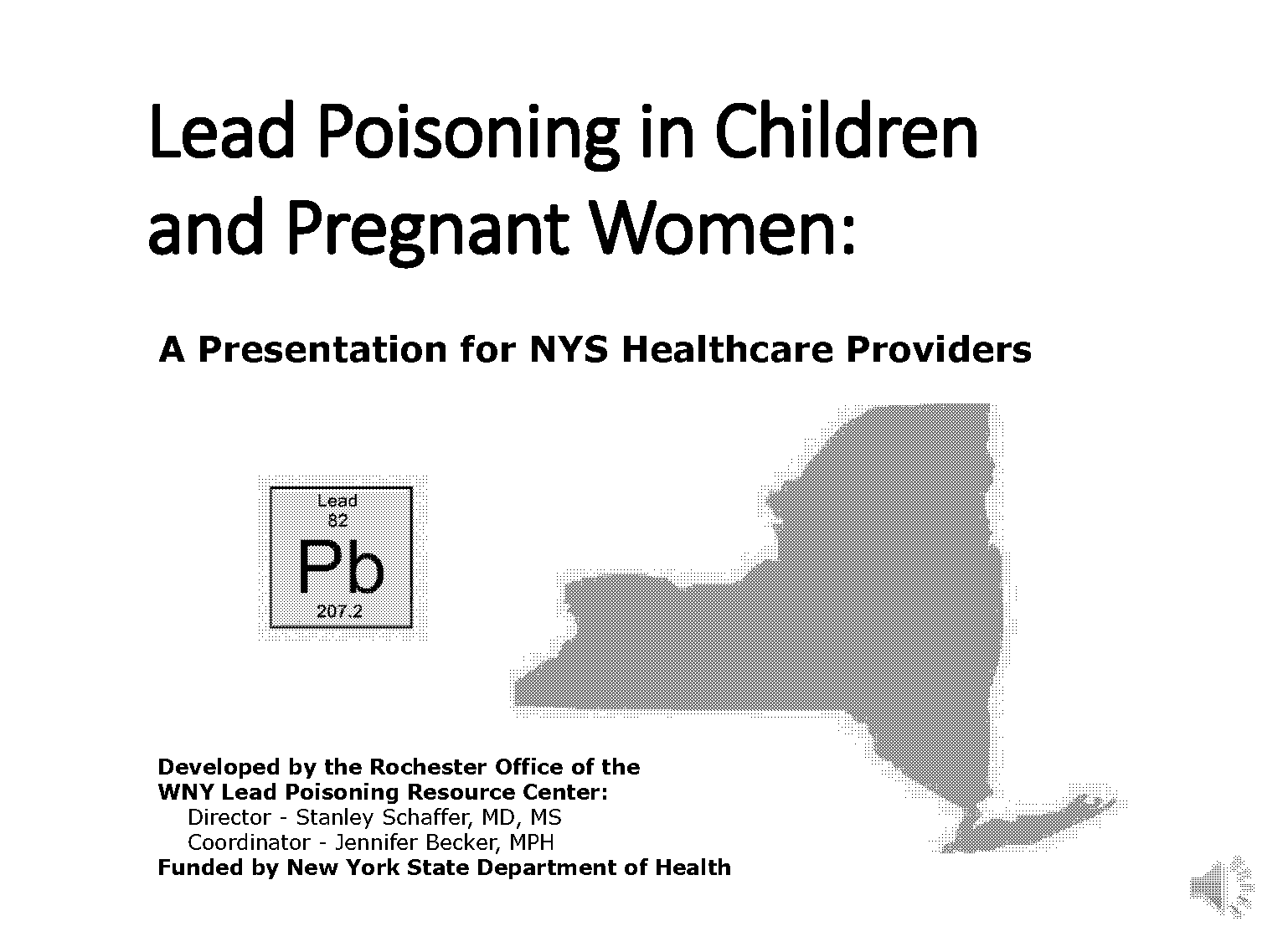 reported lead cases rochester ny