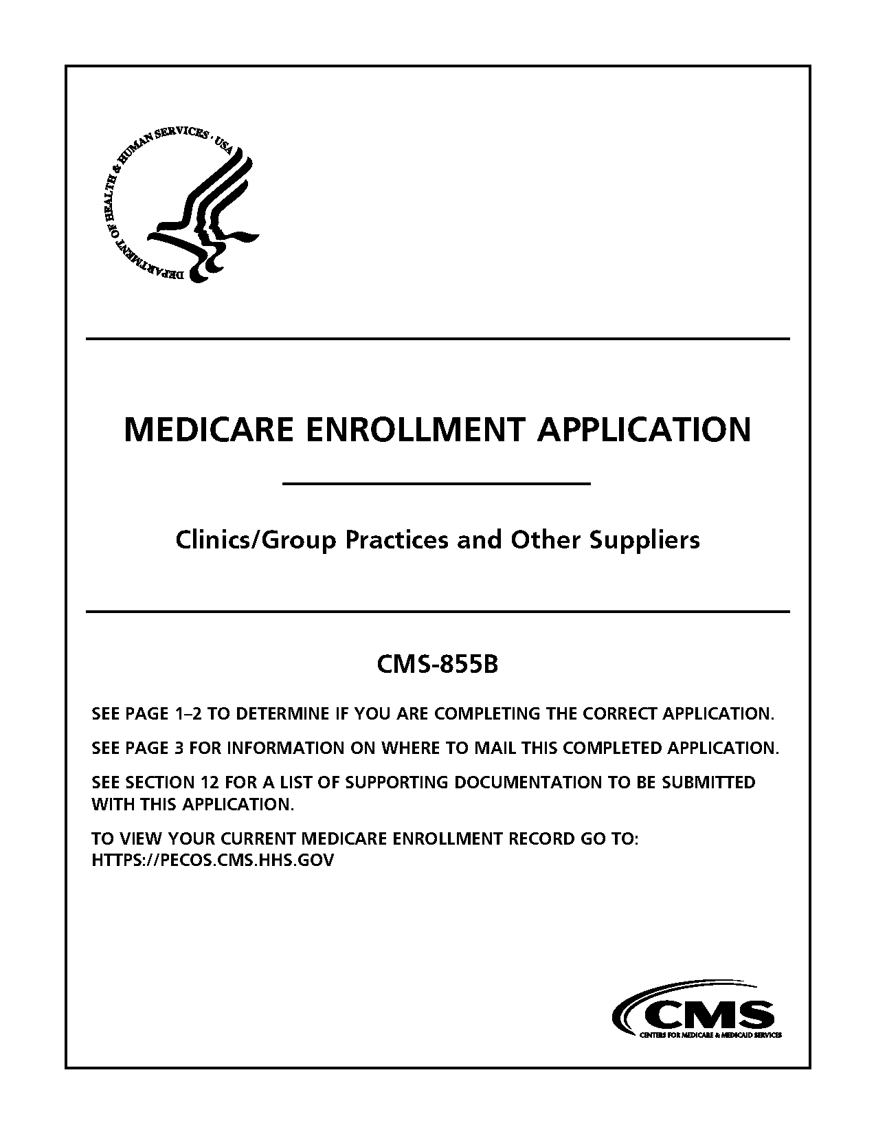 application to government official sample