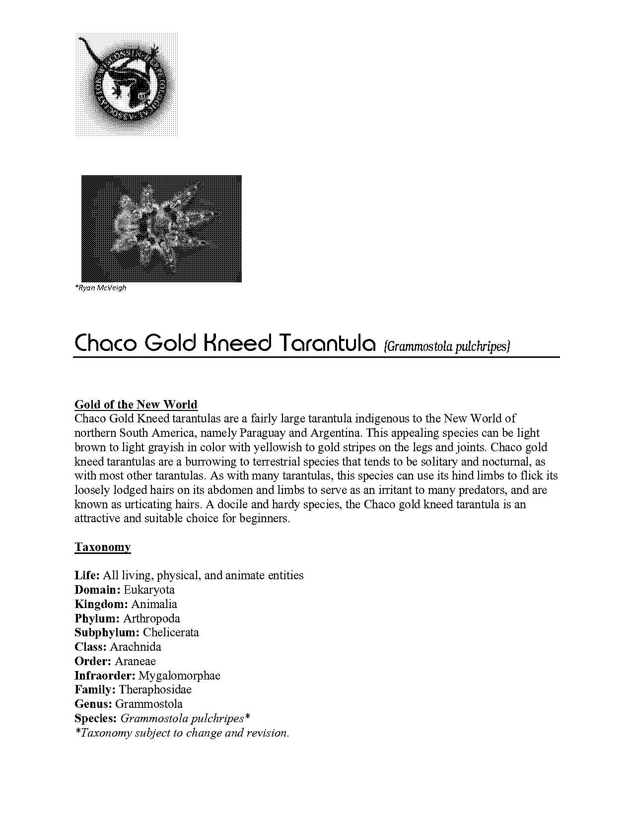 chaco tarantula care sheet pdf