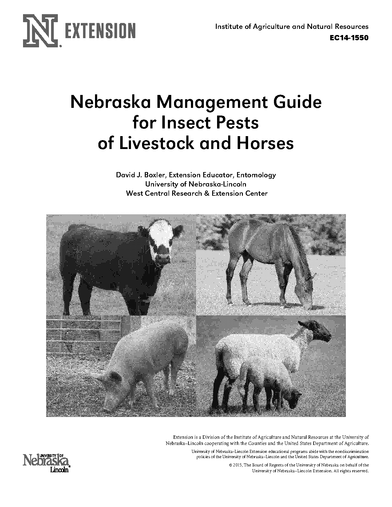 present uses for horses